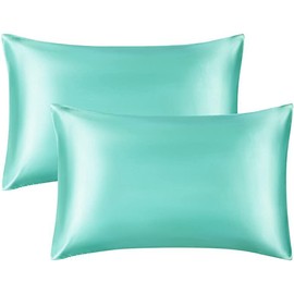 Silky Satin Standard Pillowcases Set of 2, Super Soft and Luxury, Hidden Zipper Design (Green, Queen (20" x 30"))