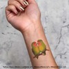 4 x 'Lovebirds Cuddling' Temporary Tattoos - Water Resistant, Skin-Safe,