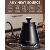 Harriet Gooseneck Kettle with Thermometer for Pour Over Coffee and