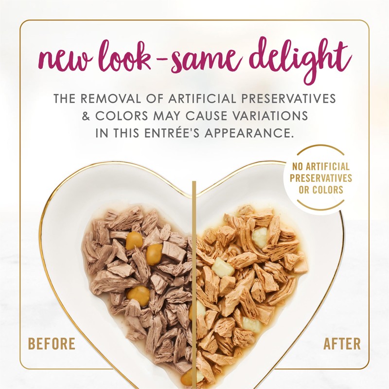 Purina Fancy Feast Delights With Cheddar Grilled Chicken and Cheddar