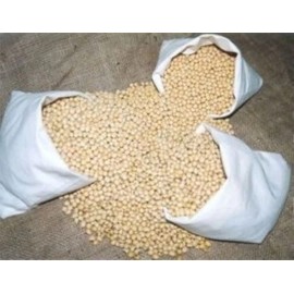 Seed Ranch Soybean Food Plot Seed "Certified" - 50 Lbs.