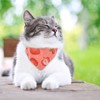 HACRAHO Cat Bandana Collar, 2 Packs Fruit Cat Collars Breakaway