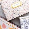 Jot & Mark Greeting Card Organizer Box Set | Decorative