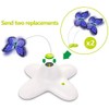 ALL FOR PAWS Interactive Flutter Bug Cat Butterfly Toy with