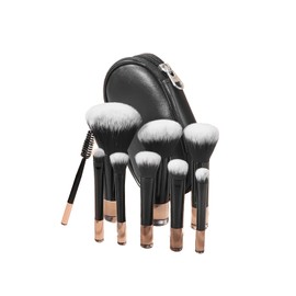 DOOCECIY 10 Pcs Mini Travel Makeup Brushes, Black Portable Travel Make up Brushes with Storage Bag