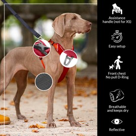 KYFLIE - No-Pull Reflective Dog Harness for Training & Daily Walks - Adjustable & Breathable Y Harness - Front & Back Leash Attachments - XS - Pink