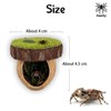Jumping Spider Hideout, Magnetic Jumping Spider Hiding Habitat, Spider Climbing