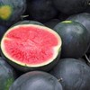 45 Watermelon Seeds - Giant - Black Diamond Heirloom -