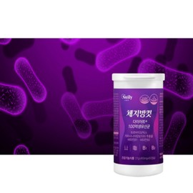 Wolto Market Partner Direct 10 billion diet lactic acid bacteria 1 container 1 container / 다이렉트100억 다이어트 유산균 1통 1통