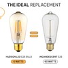 HUDSON BULB CO. Vintage LED Edison Light Bulbs, 60W Equivalent,