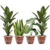 Set of 4 Copper Plastic-Plant-Flower-Planters-10 with Drainage Hole and Matching