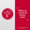 Gyno-Canesbalance Contro La Vaginosi Batterica Trattamento Gel Vaginale 7 Flaconcini