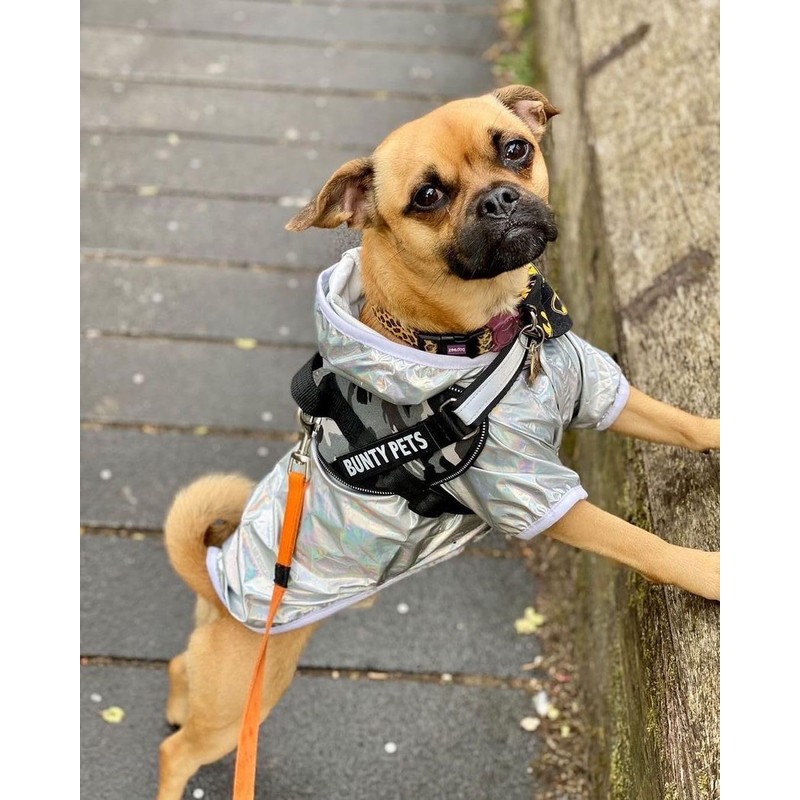 Bunty Yukon Dog Harness, Medium - Adjustable Fit, Escape Proof,