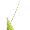 Greenworks 0.080" 200-Foot Twisted String Trimmer Line