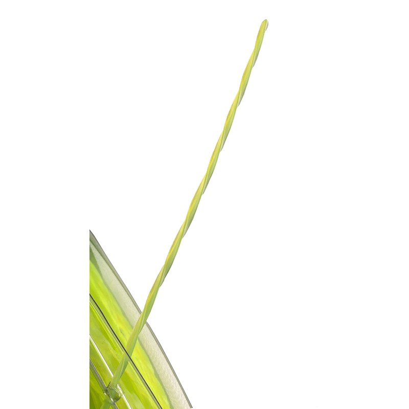 Greenworks 0.080" 200-Foot Twisted String Trimmer Line