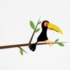 CafePress Toucan Bird Dog T Shirt Dog T-Shirt, Pet Clothing,