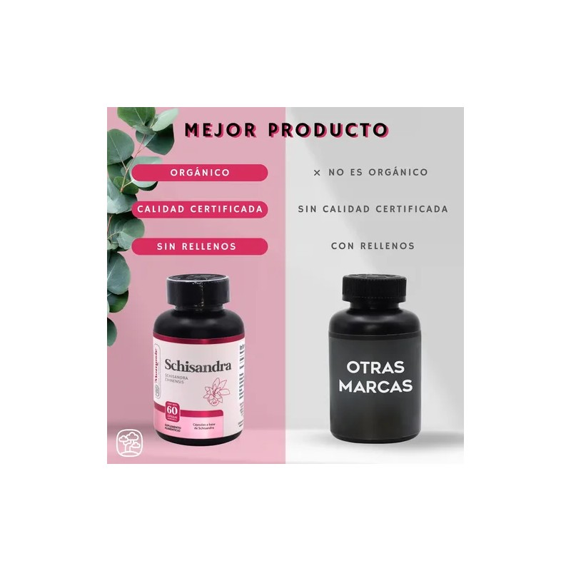 Schisandra 60 Cápsulas De 500 Mg | Momosie | Dura