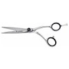 Kissaki Hair Scissors 6.0 inches Kojiri Hair Cutting Shears Barber