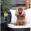 Animology Fox Poo Deodorising Dog Shampoo, Twin Pack, 250ml