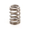Omix-Ada | 17402.10 | Engine Valve Spring | OE Reference: