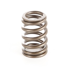 Omix-Ada | 17402.10 | Engine Valve Spring | OE Reference: 33004296 | Fits 1987-1997 Jeep YJ / XJ / MJ / ZJ / SJ