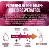 VINIA Resveratrol Electrolyte Hydration Powder Mix Mixed Berry Flow& Circulation