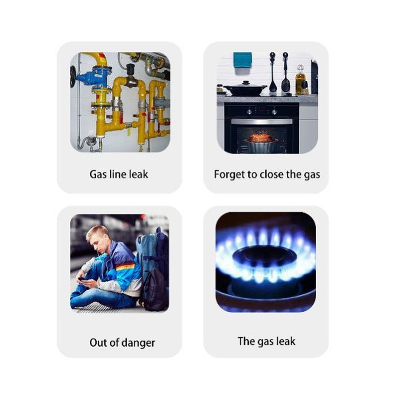 Smart Gas Leak Detector Highly Sensitive Combustible Gas Alarm WiFi