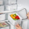 Freshmage Fruit Storage Containers with Removable Colander - 4 Pack