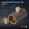 Supply Giant EDXD0034 3/4" No Lead Cast Brass Straight Drain