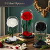 Preserved Flowers Roses in Glass Dome, Real Roses That Last