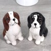 Lesser & Pavey Salt & Pepper Set for All Types