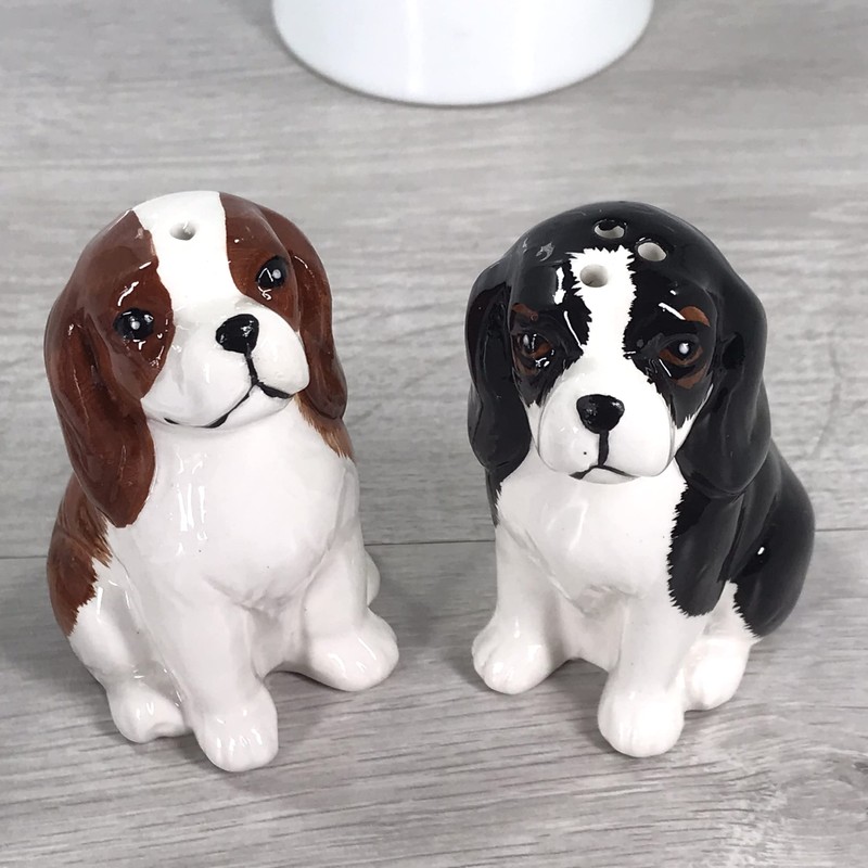Lesser & Pavey Salt & Pepper Set for All Types