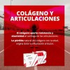 Suplemento Alimenticio Elmor Cart Sobres