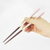 Ishida Dishwasher Safe Chopsticks with Paulownia Case, Chopsticks Rest, Champagne