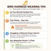 Adjustable Bird Harness & Leash Set for Small Birds,FitsBudgie,Parakeets, Conures,