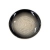 Kaladia Ceramic Grater Plate/Ceramic Slicer, Plain Colour, Ideal for Ginger,