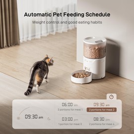 IMIPAW PET Automatic Cat Feeder: 3L Cat Food Dispenser with Timed Feeding| 6 Meal Programmable& 1-20 Precise Portion Control- Easy to Clean & Setup for Cat and Small Dog| Desiccant Bag Keep Food Fresh