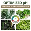 Premium AROID Soil Blend for Monstera, Philodendron, Alocasia, Anthurium –
