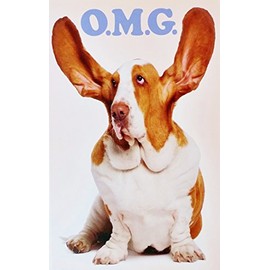 OMG You're How Old? WOW Happy Birthday Greeting Card w/Basset Hound Dog - Getting Older Aging Cute Funny