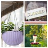 Black Chain for Hanging Plants, 6 PCS Small Chain for