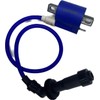 ERRIPA Ignition Coil Compatible with YAMAHA Raptor 660R, Grizzly 660,