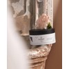 HADAT Cosmetics Hair and scalp mud scrub for deep cleansing
