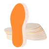 Shoe Insoles, Sweaty Feet, Anti-Sweat Insoles, 10 Pairs, Fresh Insoles