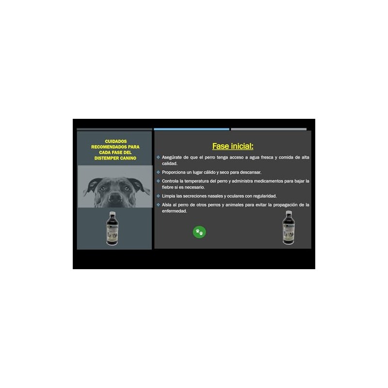 NanoDog Plata Nanopartículas PVP