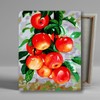 DIY Canvas Painting 40x50cm Fresh Red Apple / DIY캔버스형 그림그리기 40x50cm 싱그러운 홍사과