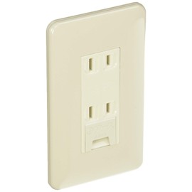 Panasonic (Panasonic) Full Color Embedded Earth Terminal with Double Outlet wnp1532mwp