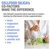3-Pack Cellfood Silica (118ml each)
