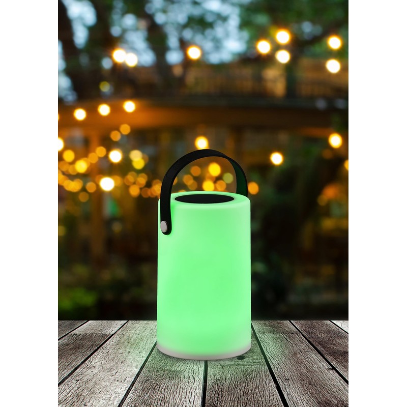 Reality Leuchten Garcia R54066101 LED Solar Outdoor Table Lamp RGB