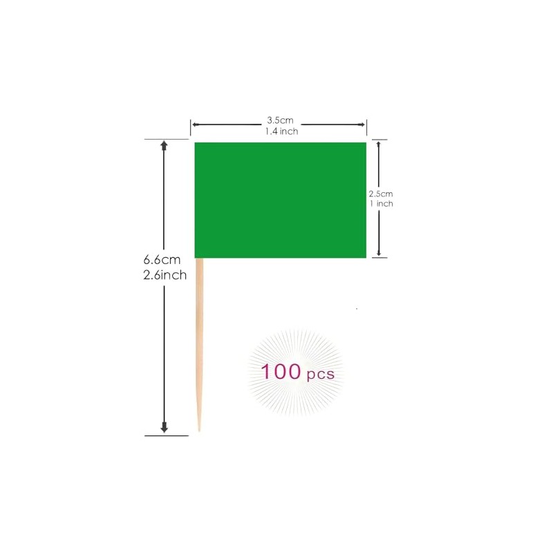 100 Pcs Green Flag Blank Toothpick Flag Small Mini Labeling