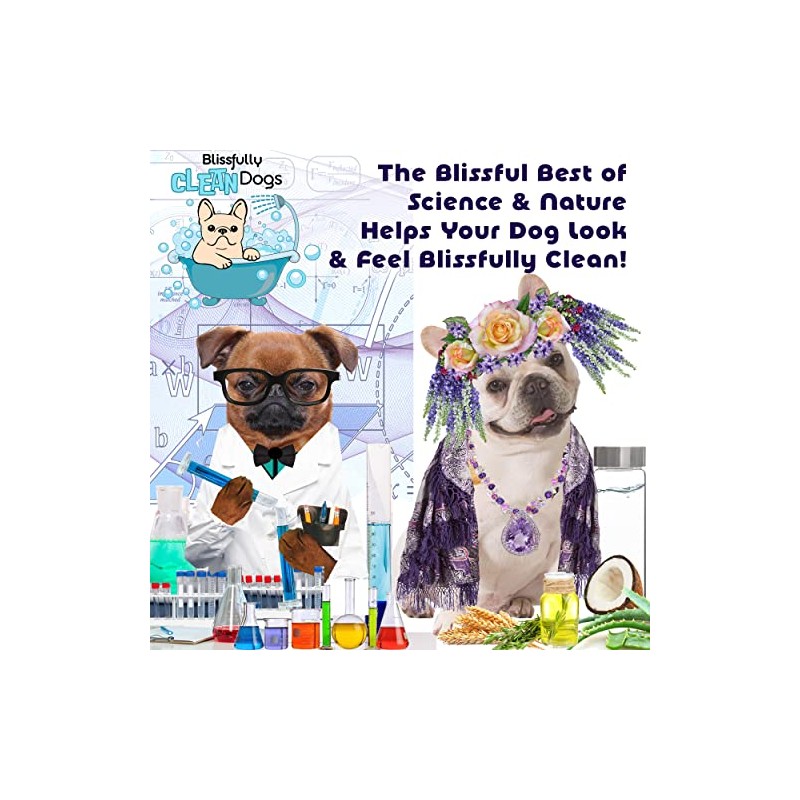 The Blissful Dog Drama Queen Luxury Dog Shampoo – Silky
